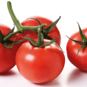 Pomodori